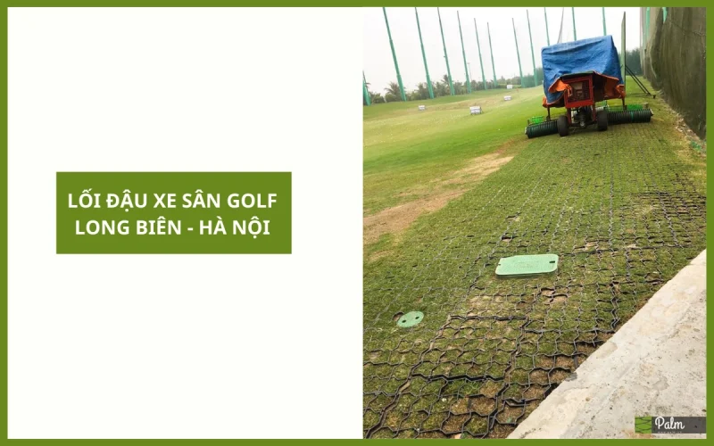 Vỉ Trồng Cỏ Chịu Lực | Tất Tần Tật Về Lợi Ích, Ứng Dụng Và Cách Lắp Đặt